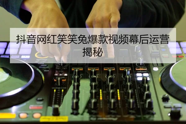 抖音网红笑笑兔爆款视频幕后运营揭秘